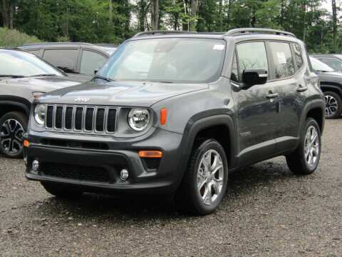 2023 Jeep Renegade for sale at Brunswick Auto Mart in Brunswick OH