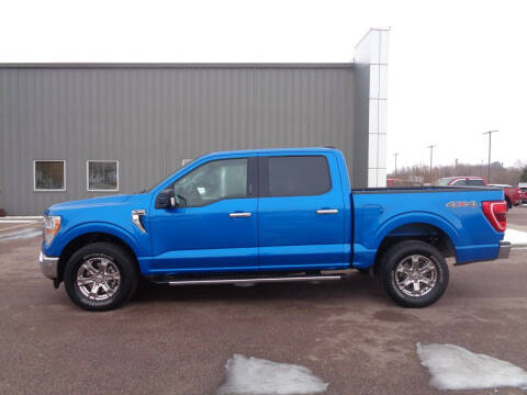2021 Ford F-150 for sale at Herman Motors in Luverne MN