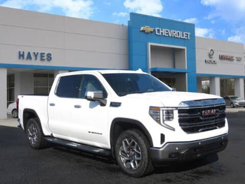 2023 GMC Sierra 1500 for sale at HAYES CHEVROLET Buick GMC Cadillac Inc in Alto GA