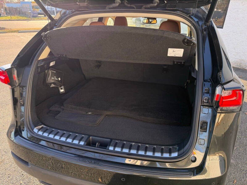 2019 Lexus NX 300 F SPORT