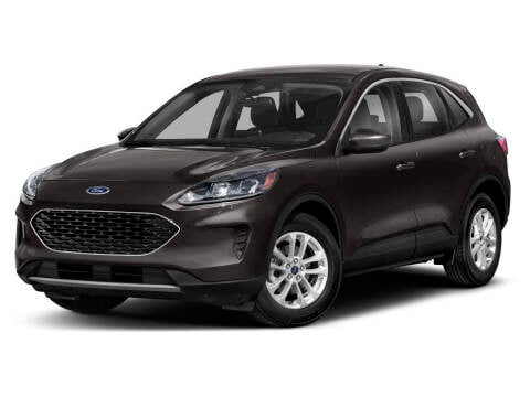 2020 Ford Escape Hybrid for sale at BORGMAN OF HOLLAND LLC in Holland MI