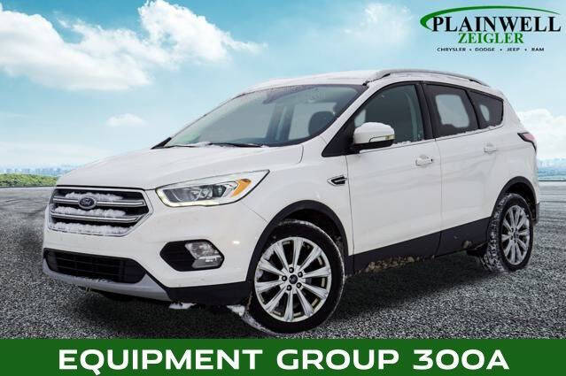 2017 Ford Escape for sale at Harold Zeigler Ford in Plainwell MI