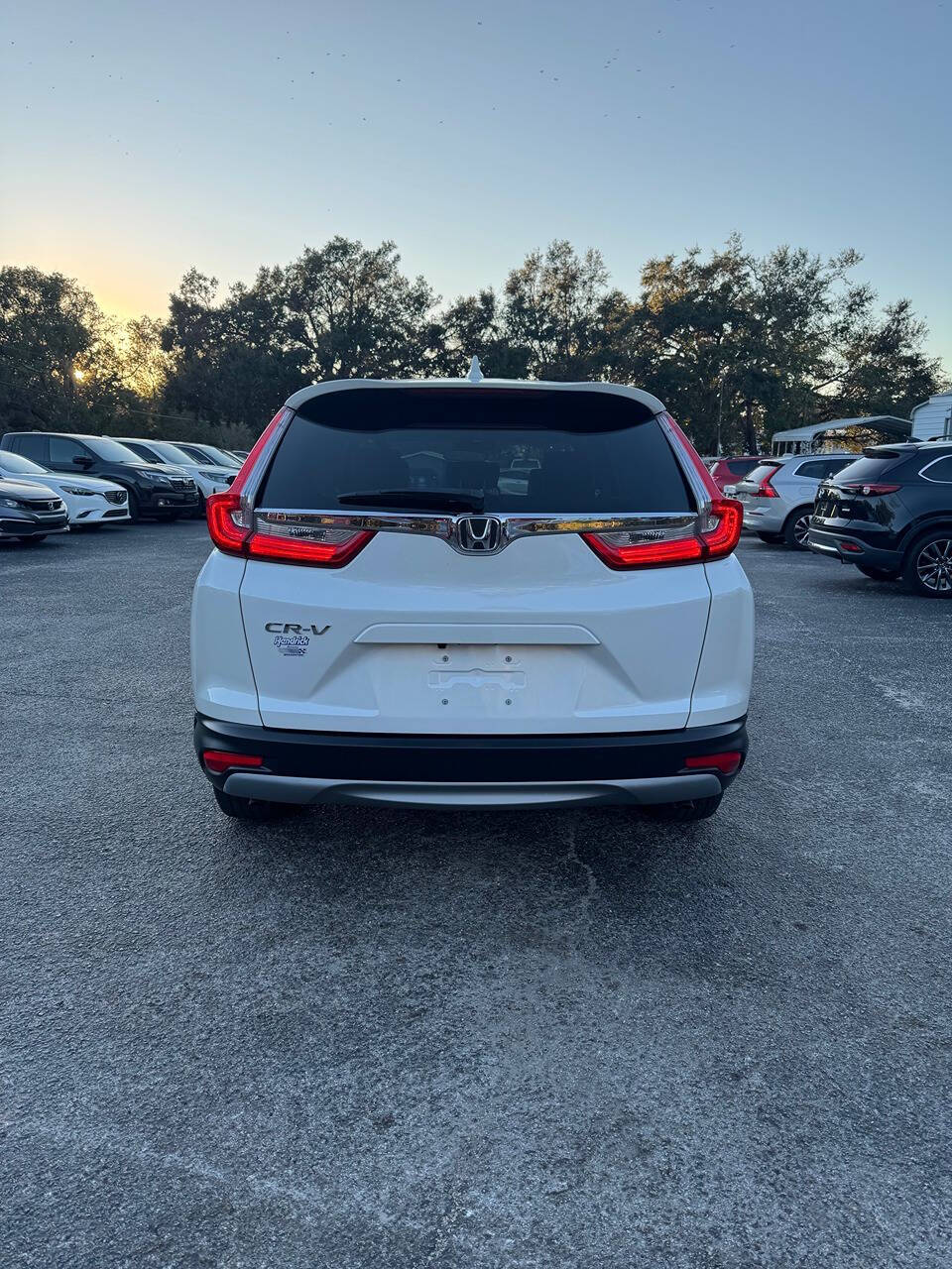 2019 Honda CR-V for sale at GRACELAND AUTO LLC in Thonotosassa, FL