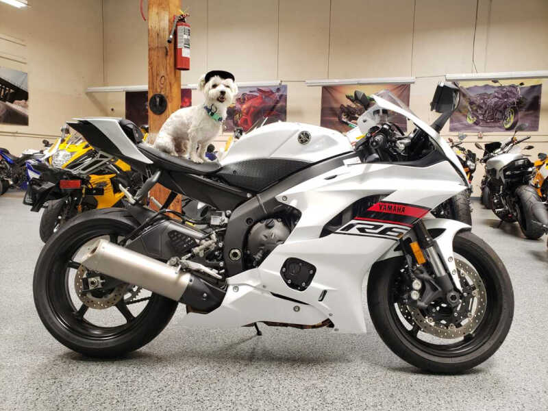 2019 Yamaha YZF-R6