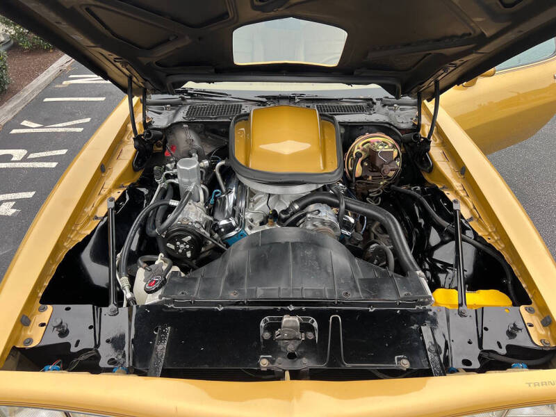 1978 Pontiac Trans Am