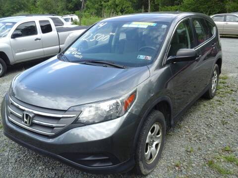 2014 Honda CR-V for sale at Rt 13 Auto Sales LLC in Horseheads NY
