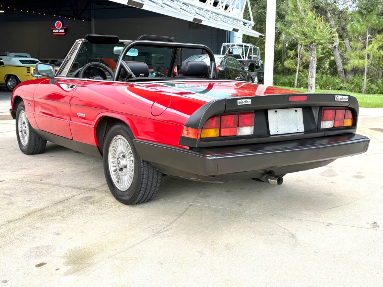 1986 Alfa Romeo Spider 8