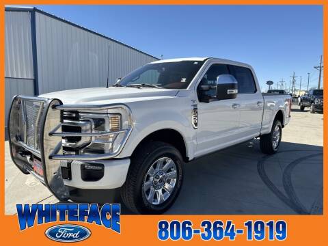2022 Ford F-250 Super Duty for sale at Whiteface Ford in Hereford TX