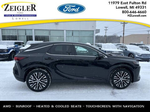 2023 Lexus RX 350 for sale at Zeigler Ford of Plainwell in Plainwell MI