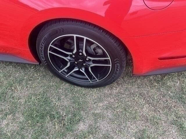 2019 Ford Mustang EcoBoost