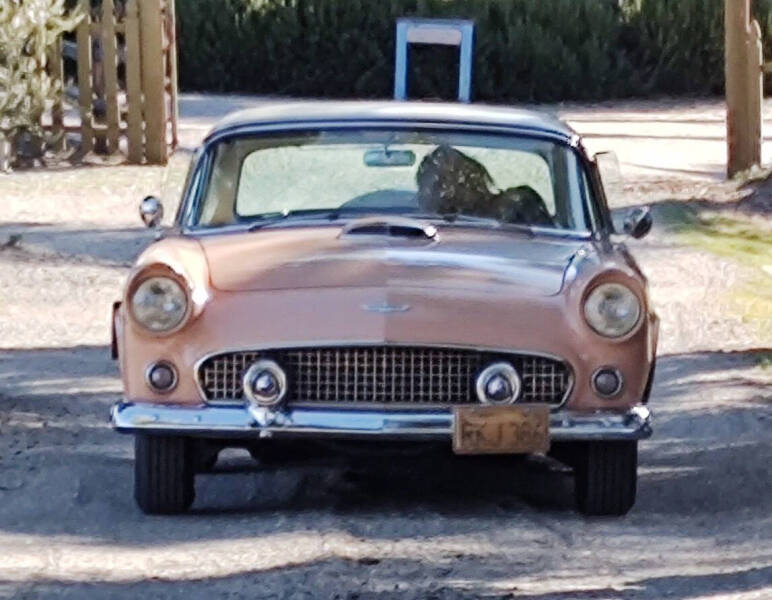 1956 Ford Thunderbird