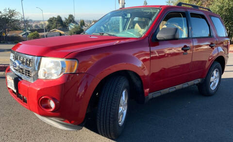 2011 Ford Escape for sale at Auto World Fremont in Fremont CA