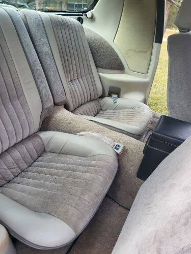 1983 Pontiac Firebird Trans Am