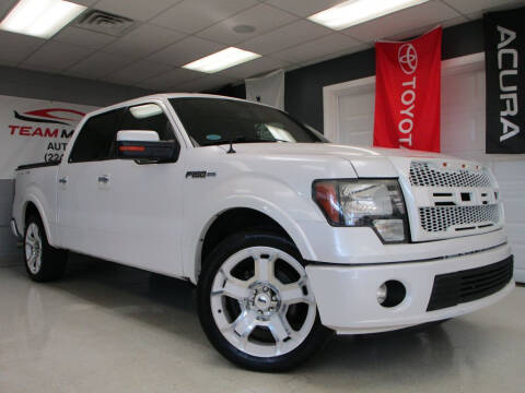 2011 Ford F-150 for sale at TEAM MOTORS LLC in East Dundee IL