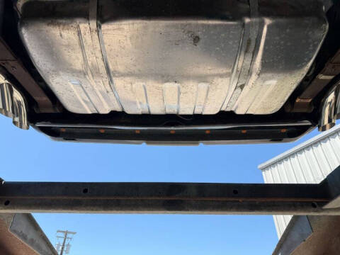 1981 Pontiac Firebird Trans Am