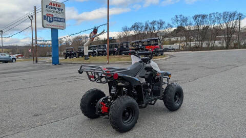 2025 TrailMaster Mini 110 Sport