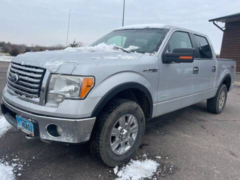 2011 Ford F-150 for sale at H & G AUTO SALES LLC in Princeton MN