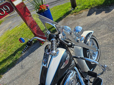 2008 Harley-Davidson FLSTN SOFTAIL DELUXE