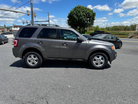 2010 Ford Escape XLT