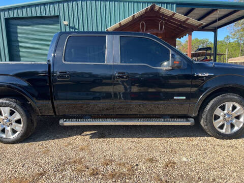 2011 Ford F-150 Lariat