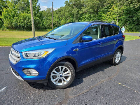 2019 Ford Escape for sale at Depue Auto Sales Inc in Paw Paw MI