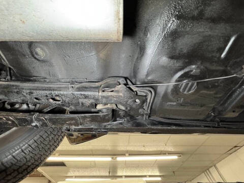 1981 Pontiac Firebird Trans Am