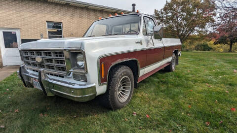 1978 Chevrolet C/K 10 Series for sale at Hot Rod City Muscle in Carrollton OH
