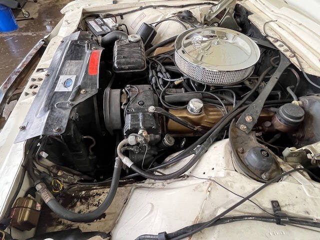 1965 Ford Thunderbird