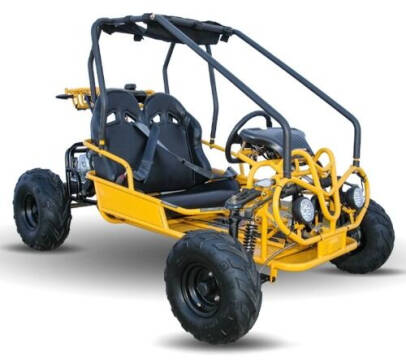 2020 125cc Go Kart - Automatic With Reverse W/Lights