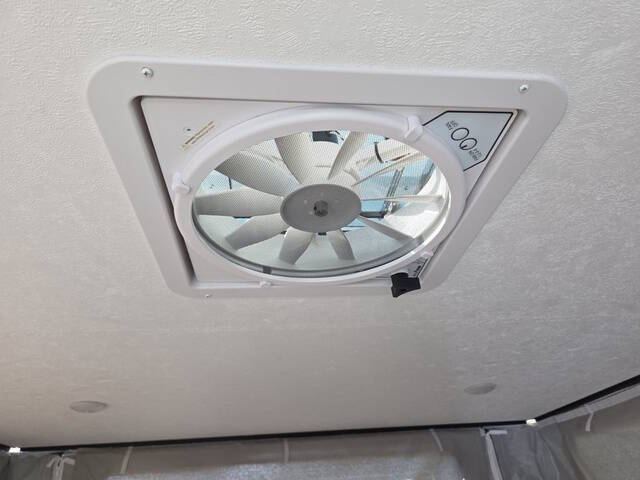 2026 Palomino O.V.E.