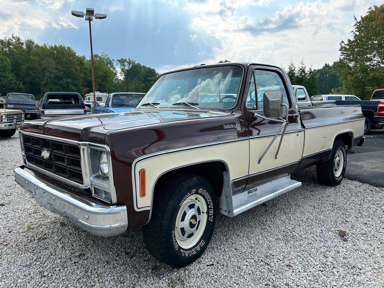 1979 Chevrolet C/K 20 Series 