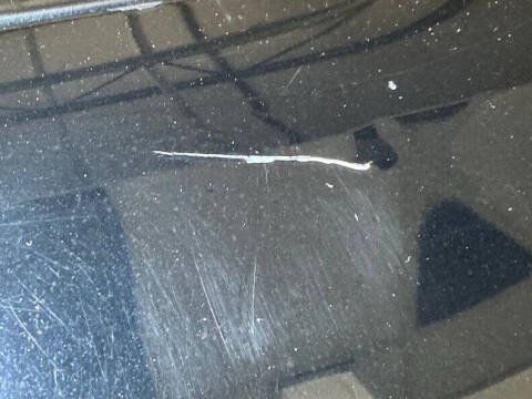 1981 Pontiac Firebird Trans Am