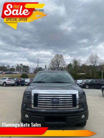 2012 Ford F-150 for sale at Flamingo Auto Sales in Norcross GA
