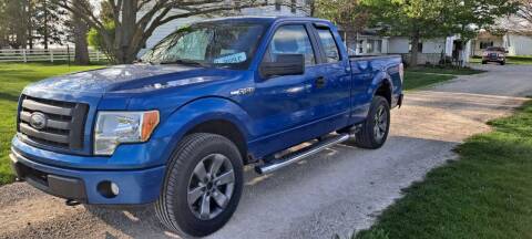 2010 Ford F-150 for sale at ARK AUTO LLC in Roanoke IL