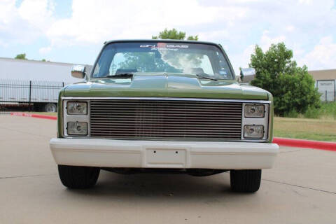 1981 Chevrolet C/K 10 Series