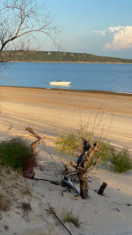 1992 Formula Thunderbird