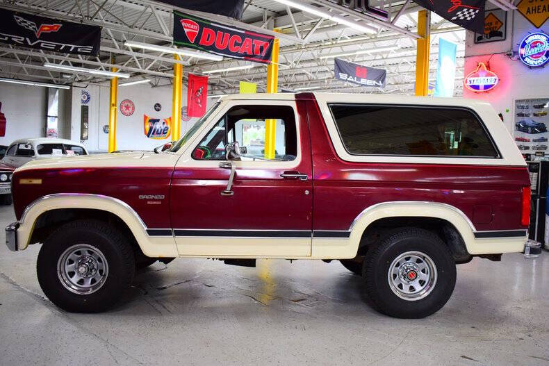 1983 Ford Bronco