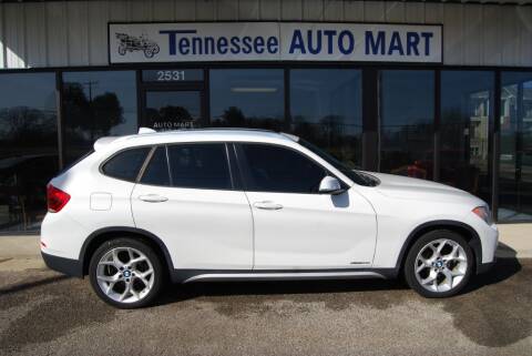 2013 BMW X1 for sale at Tennessee Auto Mart Columbia in Columbia TN