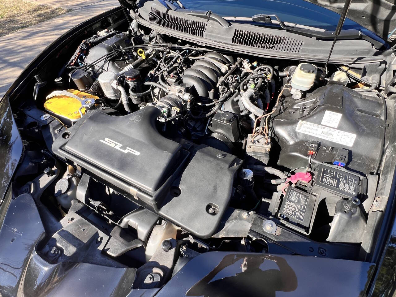 Used Car 2001 Pontiac Firebird  Trans Am 2dr Hatchback For Sale Under $25,000 In Austin, Texas