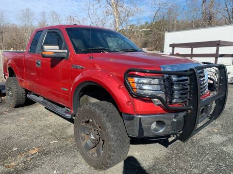 2011 Ford F-150 for sale at D & M Discount Auto Sales in Stafford VA