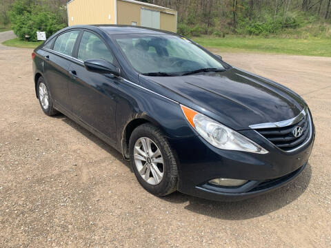 2013 Hyundai Sonata for sale at Court House Cars, LLC in Chillicothe OH
