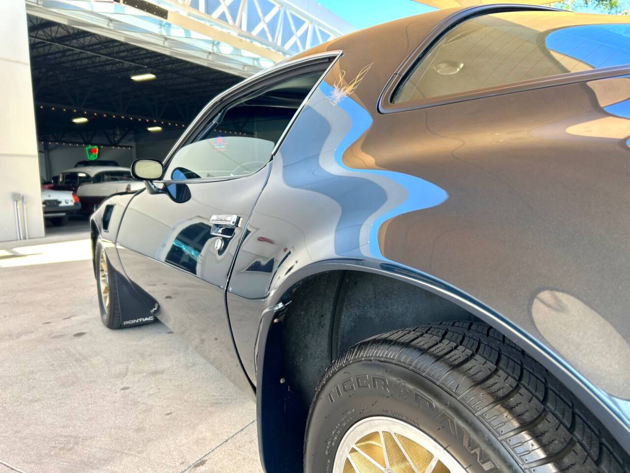 1981 Pontiac Firebird 15