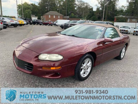 2002 Chevrolet Camaro for sale at Muletown Motors - Vintage Cars in Columbia, TN