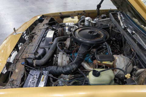 1979 Oldsmobile Cutlass