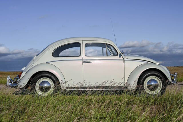 1962 Volkswagen Beetle