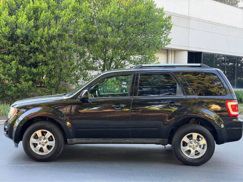 2011 Ford Escape Limited