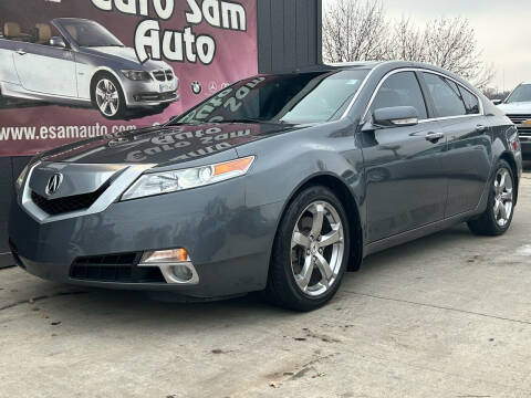 2010 Acura TL for sale at Euro Auto in Overland Park KS