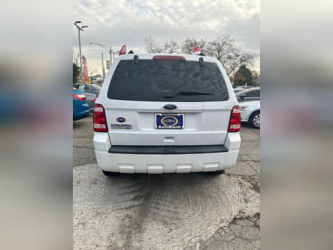 2011 Ford Escape XLT