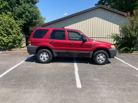 2006 Ford Escape for sale at Budget Auto Outlet Llc in Columbia KY