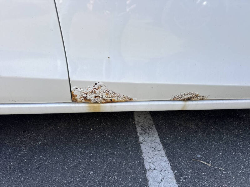 2010 Mazda MAZDA3 s Sport